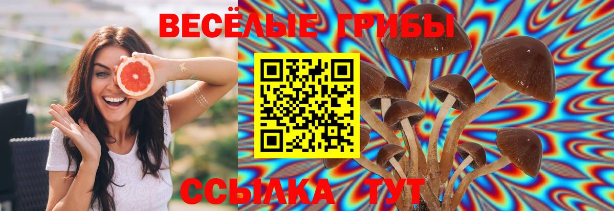 Псилоцибиновые грибы GOLDEN TEACHER Златоуст